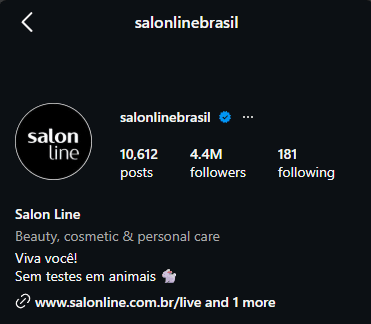 Perfil Instagram - Salon Line