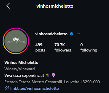 Perfil Instagram - Vinhos Michelleto